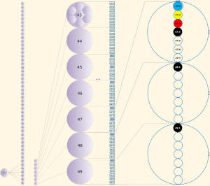 Hylozoic Anatomy Cosmic Sketch