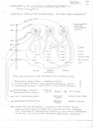 Lotus Energies 3