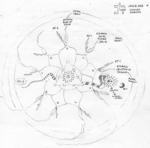 Lotus Energies 1